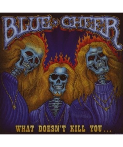 Blue Cheer WHAT DOESN'T KILL CD $4.50 CD