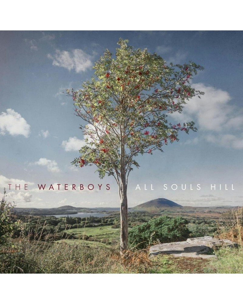 The Waterboys ALL SOULS HILL CD $8.00 CD