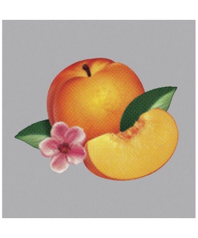 Phoenix Bankrupt Vinyl Record $6.60 Vinyl