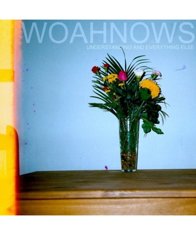 Woahnows Understanding and Everything Else Vinyl Record $8.57 Vinyl