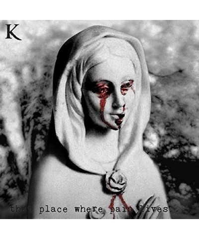 King 810 THAT PLACE WHERE PAIN LIVES Vinyl Record $4.05 Vinyl