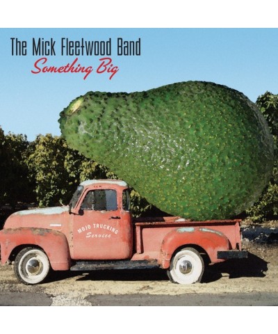 Mick Fleetwood SOMETHING BIG CD $4.59 CD