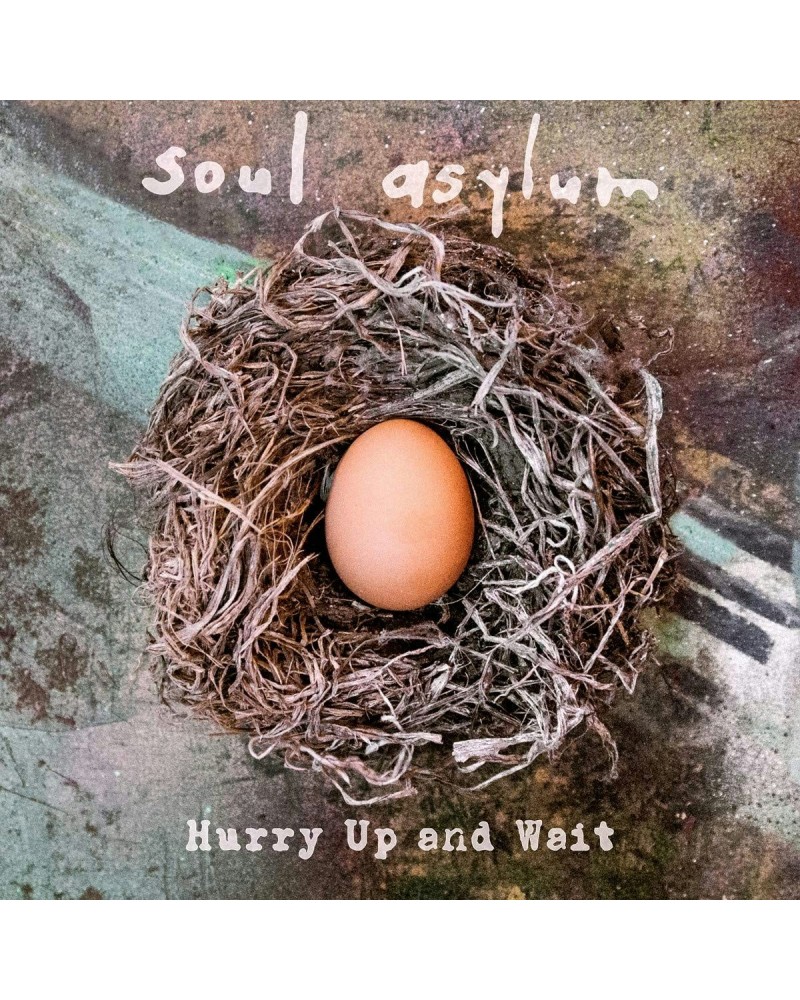 Soul Asylum Hurry Up And Wait CD $4.80 CD